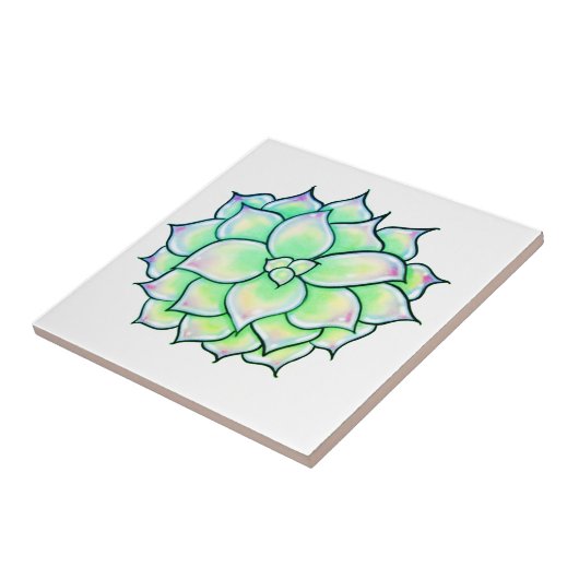 Groen Succulent Tegeltje (Zijkant)