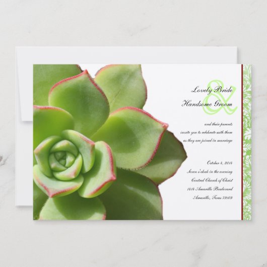 Groen Succulent Vintage Wedding Uitnodiging (Voorkant)
