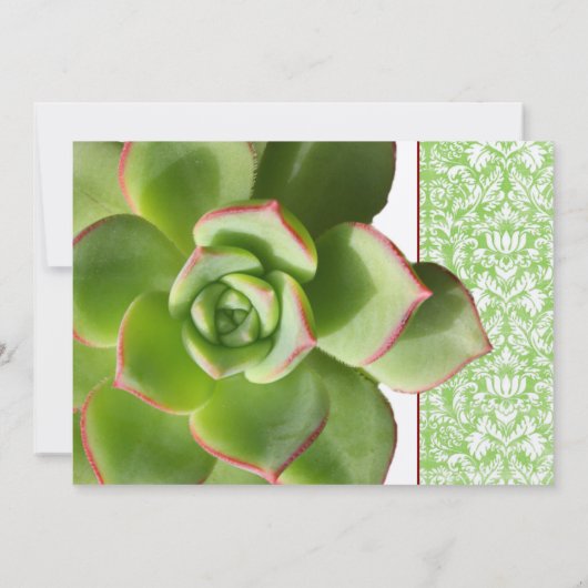 Groen Succulent Vintage Wedding Uitnodiging (Achterkant)