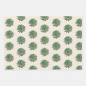 Groen Succulent Woestijn Botanisch Inpakpapier Vel (Voorkant 3)