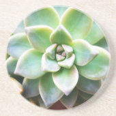 Groen Succulent Zandsteen Onderzetter (Voorkant)