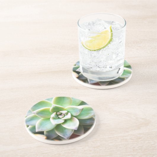 Groen Succulent Zandsteen Onderzetter (Zijkant)