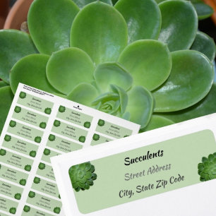 Groen Succulerend fotografisch Adres van de Terugk Etiket
