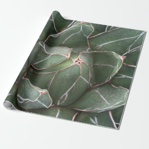 Groen succulnet Plant mat inpakpapier