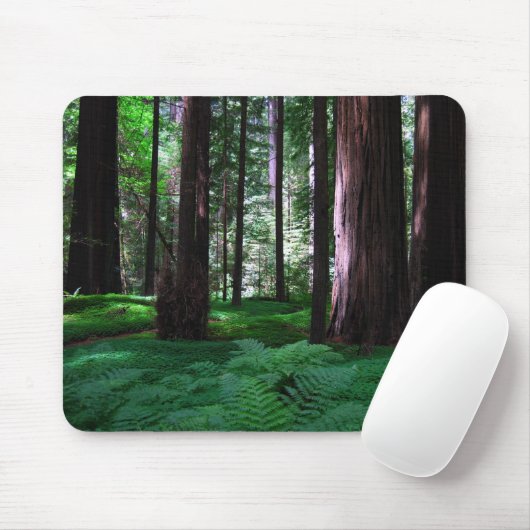 Groen tapijt van de kustmammoetbomen muismat (Met muis)