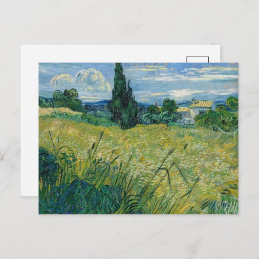 Groen tarweveld met cipres | Vincent van Gogh Briefkaart (Voorkant / Achterkant)