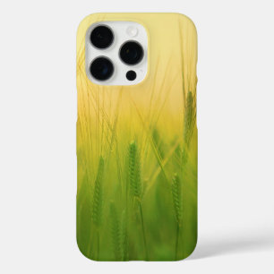 Groen tarweveld met stoffige lucht iPhone 16 pro hoesje