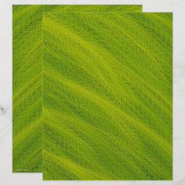 Groen tarweveld scrapbookpapier 2-zijdige pagina