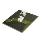 Groen Tegeltje (Zijkant)