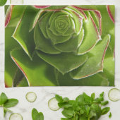 Groen Theedoek (Gevouwen)