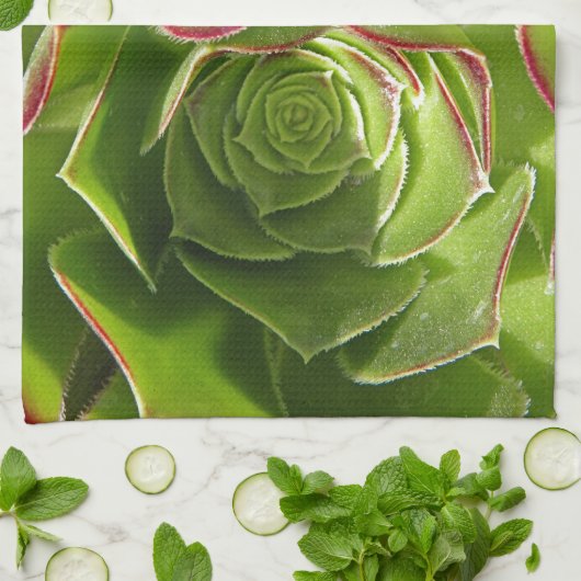 Groen Theedoek (Gevouwen)