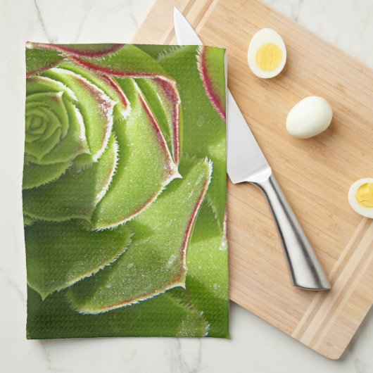 Groen Theedoek (Quarter Fold)