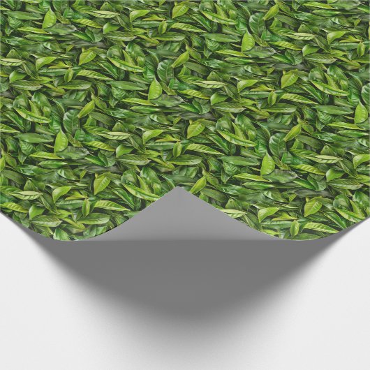 Groen theedoekpapier cadeaupapier (Hoek)