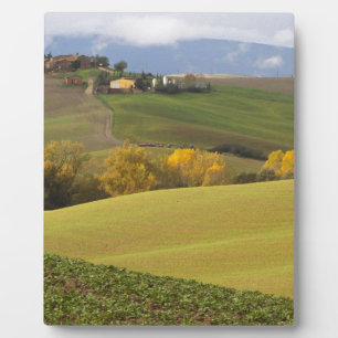 Groen Toscaans platteland Fotoplaat