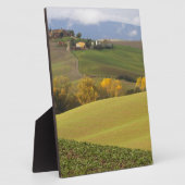 Groen Toscaans platteland Fotoplaat (Zijkant)