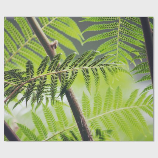 Groen Tropisch Cadeaupapier (Vlak)