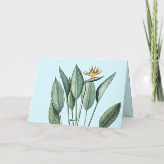 Groen tropisch Oerwoud Banaan Strelitzia Kaart (Achterkant)