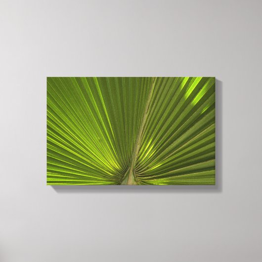 Groen tropisch palm rond canvas afdruk (Voorkant)