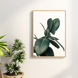 Groen tropisch Plant Poster