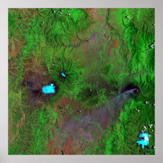 Groen Uitzicht Poster (Voorkant)