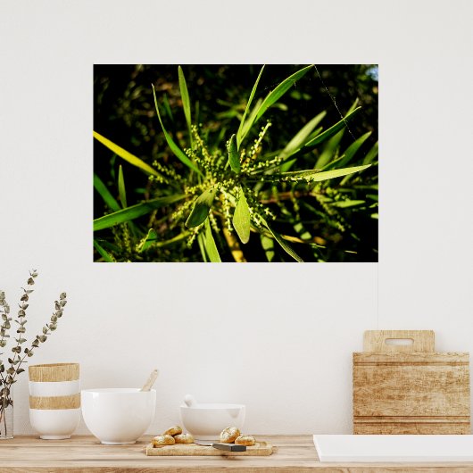 groen van de natuur poster (Keuken)