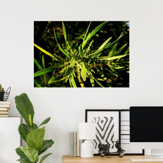 groen van de natuur poster (Thuiskantoor)