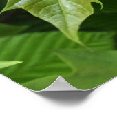 groen van lente poster (Hoek)