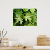 groen van lente poster (Keuken)