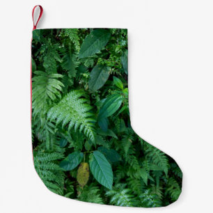 Groen varengras loof textuur kleine kerstsok