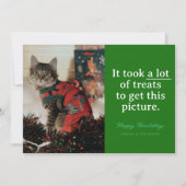 Groen Veel Treats Happy Howlidays Grappig huisdier Feestdagenkaart (Voorkant)