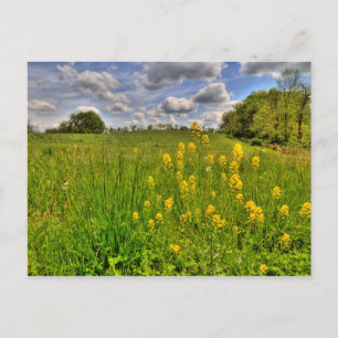 Groen veld en troebel blauw luchtruim briefkaart