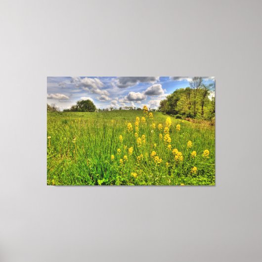 Groen veld en troebel blauw luchtruim canvas afdruk (Voorkant)