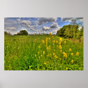 Groen veld en troebel blauw luchtruim poster