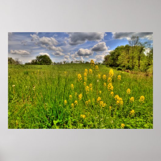 Groen veld en troebel blauw luchtruim poster (Voorkant)