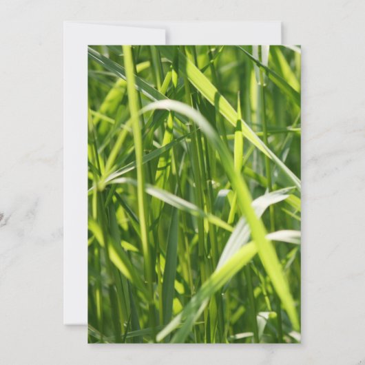 Groen veld gras Vrijgezellenfeest buitenshuis Kaart (Achterkant)