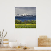 Groen veld met sneeuwbalken poster (Keuken)