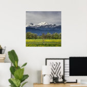 Groen veld met sneeuwbalken poster (Thuiskantoor)