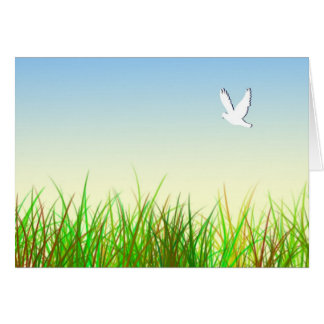 Groen veld met witte duif
