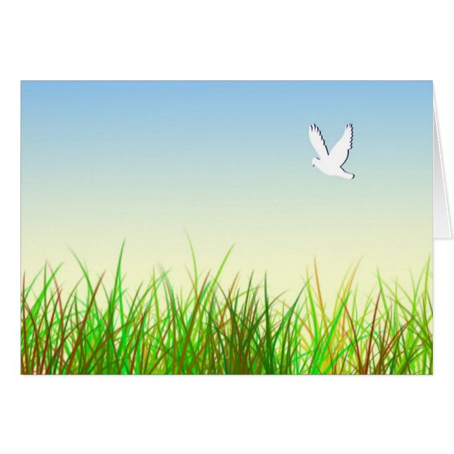 Groen veld met witte duif (Voorkant Horizontaal)