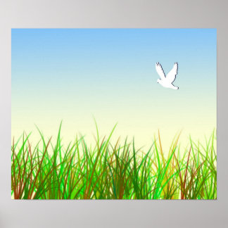Groen veld met witte duif poster