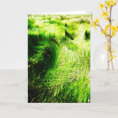 Groen veld - Wenskaarten Kaart (Gele Bloem)