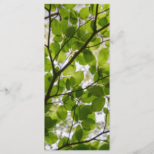 Groen verkenningsmenu menu (Achterkant)