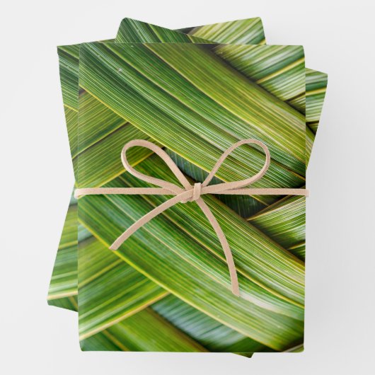 Groen vers bamboeweefsel inpakpapier vel (In situ)