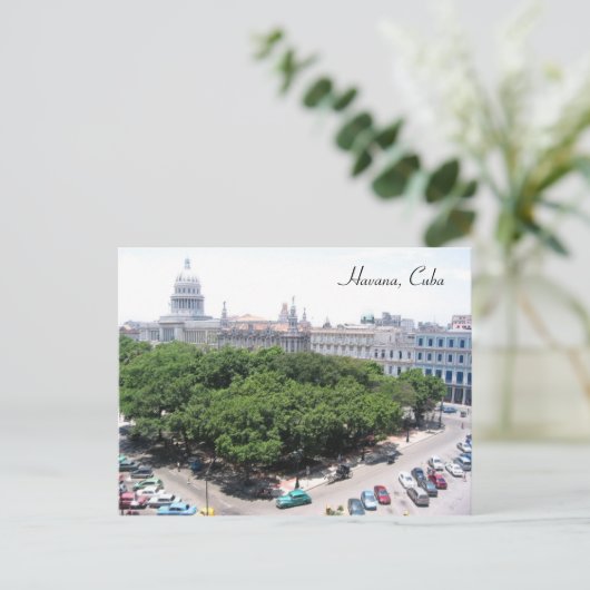 groen vierkant briefkaart (Staand voorkant)