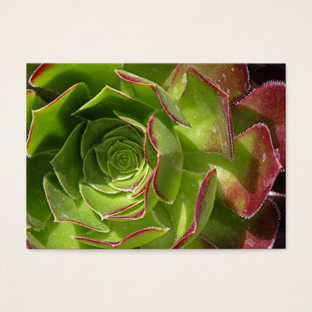 Groen Visitekaartjes (Voorkant)