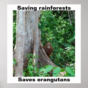 Groen voor regenwouden en Orangutanen Poster