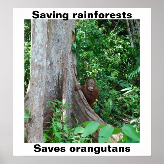 Groen voor regenwouden en Orangutanen Poster (Voorkant)