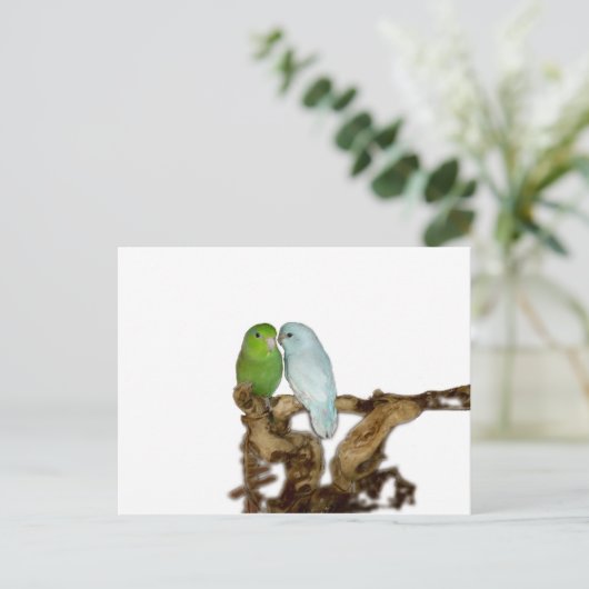 Groen vrouw en blauw delingse mannetje briefkaart (Staand voorkant)