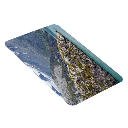 Groen wekt in het Blauw Magneet (Rechterzijde)