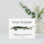Groen-wit-Briefkaart Briefkaart (Staand voorkant)